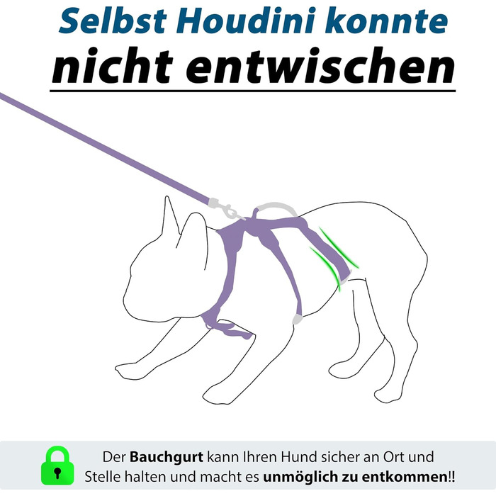 Нашийник для собак з повідком, безпечний нашийник від виривання, анти-тяга, нашийник для собак з ручкою та світловідбиваючими елементами, легкий, регульований, для середніх собак (XS) (Дуже маленький, фіолетовий)