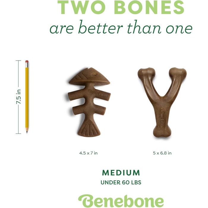 Benebone Indestructible Dog Chew Toy Gift Box for Aggressive Chewers with Wishbone, Fishbone, Stick & Zaggler, Long-Lasting Boredom Buster, Flavored, for Small Dogs, Made in (Fishbone/Wishbone, Medium)
