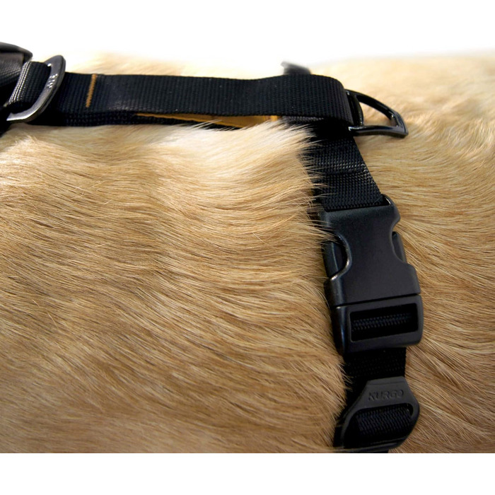 Kurgo TRU-Fit – інтелектуальне обплетення для собак, навчальне обплетення, обплетення проти потягування з кріпленням для безпечного ременя – чорний колір, розмір L