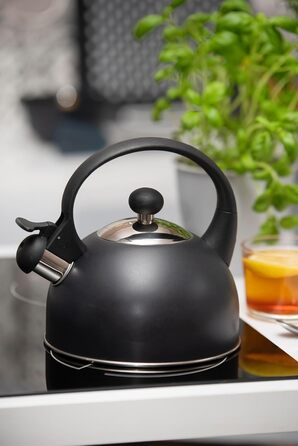 Чайник електричний Galicja Molly з нержавіючої сталі, 1.7л, зелений (антрацит)