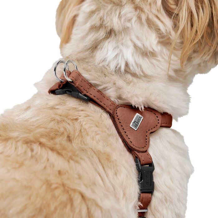 Нашийник для собак HUNTER SOHO MINI, колір: коричневий (cognac), шкіра, для маленьких собак та цуценят, Made in Germany, розмір XS