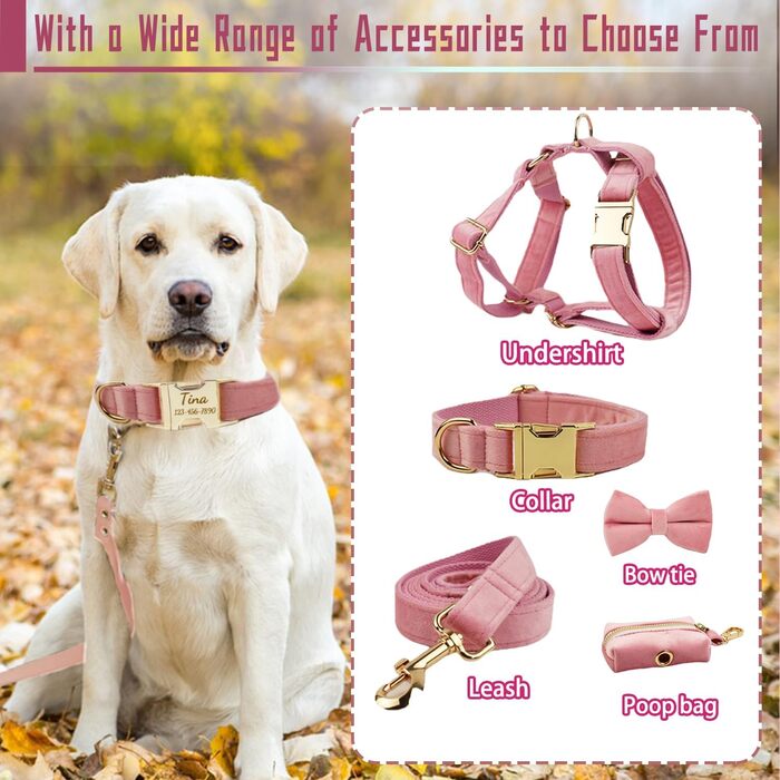 Персоналізоване собаче нашийник з металевою застібкою: напис та номер телефону. Регульовані розміри для собак середніх та великих порід.