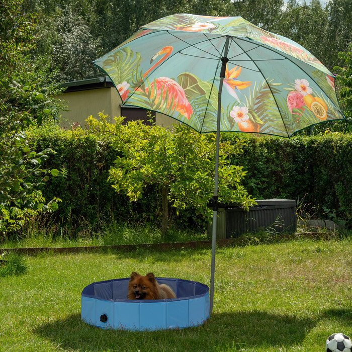 Relaxdays Blue Dog Pool