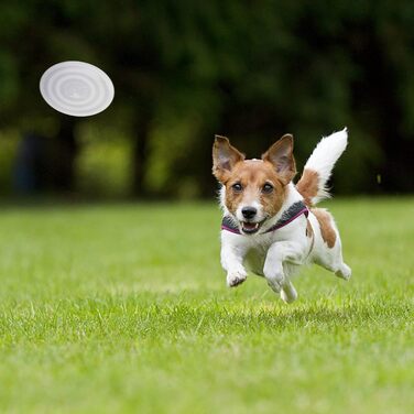 Складані миски для собак SLSON, 2 шт. з кришкою та карабінами, для годування, води, подорожей та прогулянок (Small, haze purple cool gray)