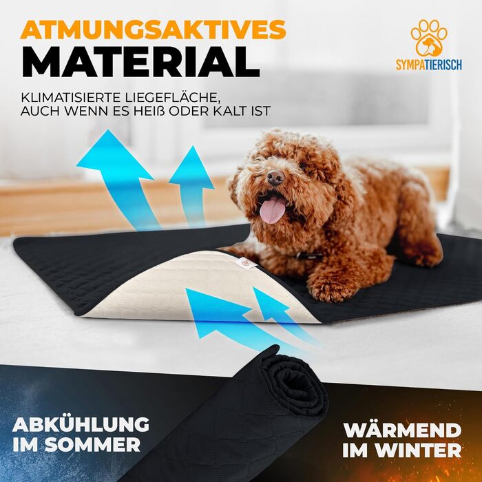 Водонепроникний килимок для собак SympaTierisch - захист дивану та ліжка - антиковзаюча підстилка для собак, великих розмірів, придатний для прання - Чорний, 205 x 160 см