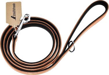 Leather Dog Leash - Training Leash - Leather Leash for Dog - Leash 3-Way Adjustable, for all Dogs (180cm, Beige)