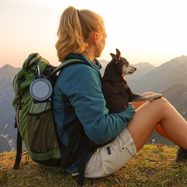 Складаний миска для собак SLSON, подвійний, для подорожей, прогулянок, намету, сірий