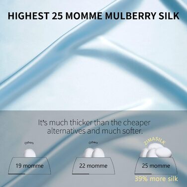 ZIMASILK 25 Momme 100% Mulberry Silk Pillowcase, for Hair and Skin, Both Sides, 900 Thread Count, Natural Silk, Hidden Zipper, 1 Gift Box (Light Blue, 20 x 30 inches)