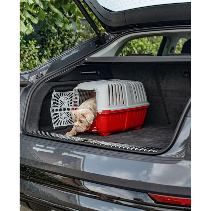 Транспортна переноска для собак Lionto, 55x36x36 см, з ручкою, для собак та котів до 15 кг, синій колір