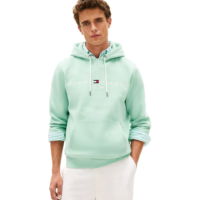 Чоловічий худі Tommy Hilfiger з капюшоном та логотипом, колір Green (Crushed Mint), розмір M