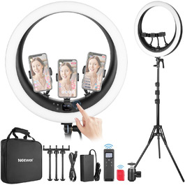 NEEWER Ringlicht RP19H 19 дюймів з підставкою та 3 тримачами для телефону, 2.4G керування, плавне регулювання яскравості, LCD та сенсорне керування, 42W CRI 97+ 2540 Lux, для стрімінгу, дому, офісу, Zoom, освітлення, з пультом ДУ (кільцеве світло з кульовим голівкою та пультом ДУ)