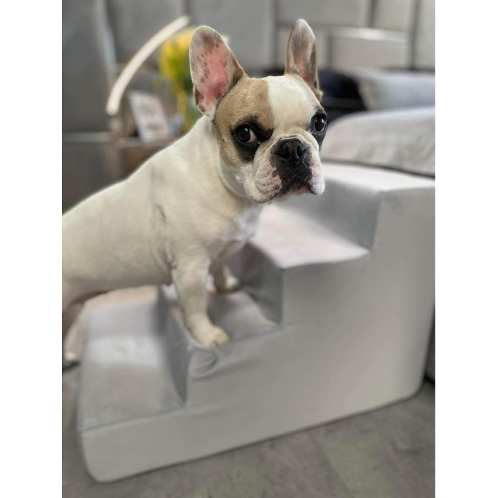 Сходинка для собак Velinda з 4 сходинками, також підходить для котів. Допомога у входженні для домашніх тварин. Матеріал: пінопласт. Колір: темно-синій