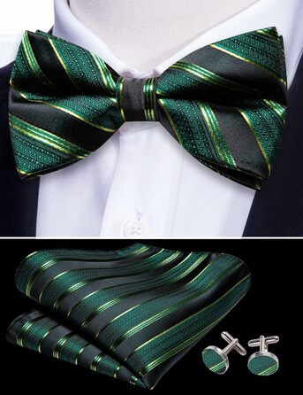 Комплект краватки та хустинки Barry.Wang Paisley, чоловічий, для весілля та урочистих подій (Зелено-чорний)