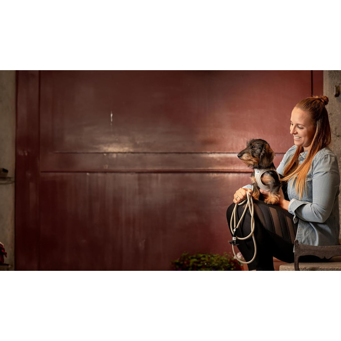 Шлейка для собак Alpine Curli Clasp Vest Harness Light Gray S