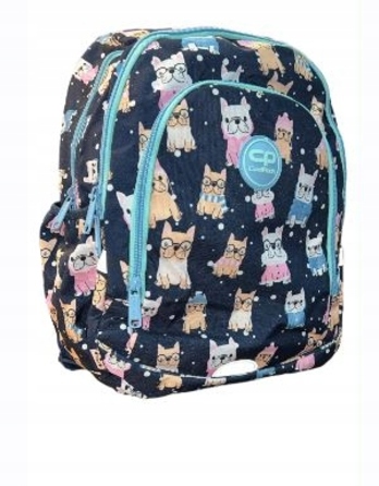 Багатовідсіковий шкільний рюкзак CoolPack 