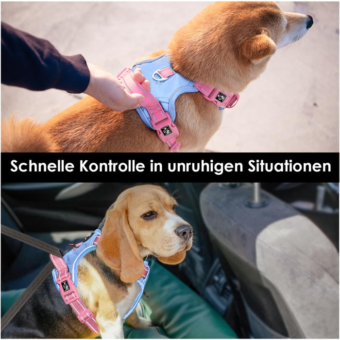 Шлейка для собак PHOEPET Anti-Zug з відбиваючими елементами, регульована, для цуценят та собак різних розмірів (M, небесно-блакитна основа & рожеві ремінці)