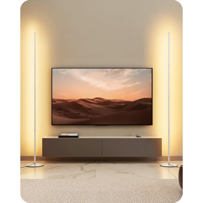 LED торшер Edishine 2 шт. з диммуванням, тепле світло 3000K, регулювання висоти 146 см, з функцією пам'яті, для вітальні, спальні, офісу (срібний)