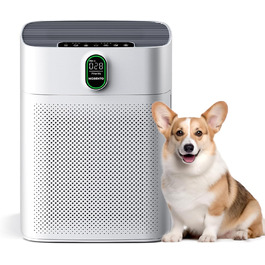 Повітряочисник MORENTO для алергіків з HEPA-фільтром, видаляє пил, пилок та шерсть тварин. CADR 300 м³/год, для кімнат до 100 м², LED-дисплей, 24 дБ, 2 фільтри в комплекті. Модель HY4866