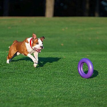Ferplast Dog Toy, Dog Training Ring for Chewing, Running, Jumping, Fetching, Robust and Non-Toxic Material, Floating, Puller Maxi, Dog Toy for Large Dogs, 1 Fitness Ring