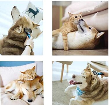 Щітка для вичісування підшерстка собак та котів з середньою та довгою шерстю - проти ковтунів та підшерстка, блакитна