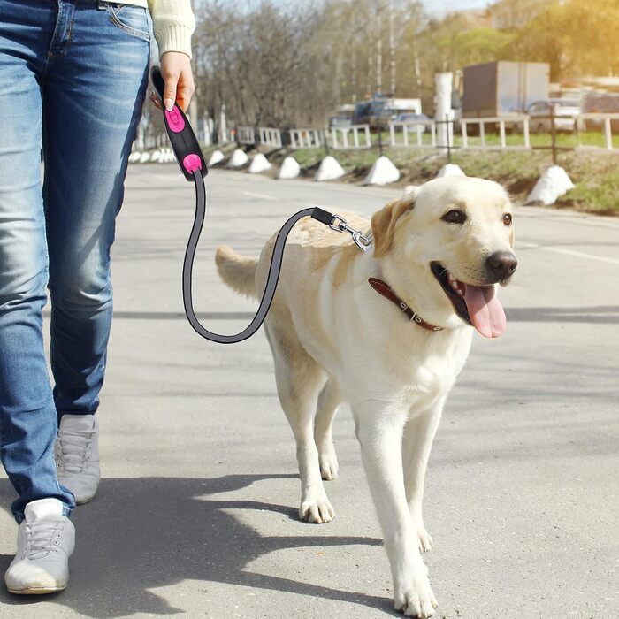 Висувна собача шлейка 8м, високоякісна, для собак до 50кг (сіра, червона)