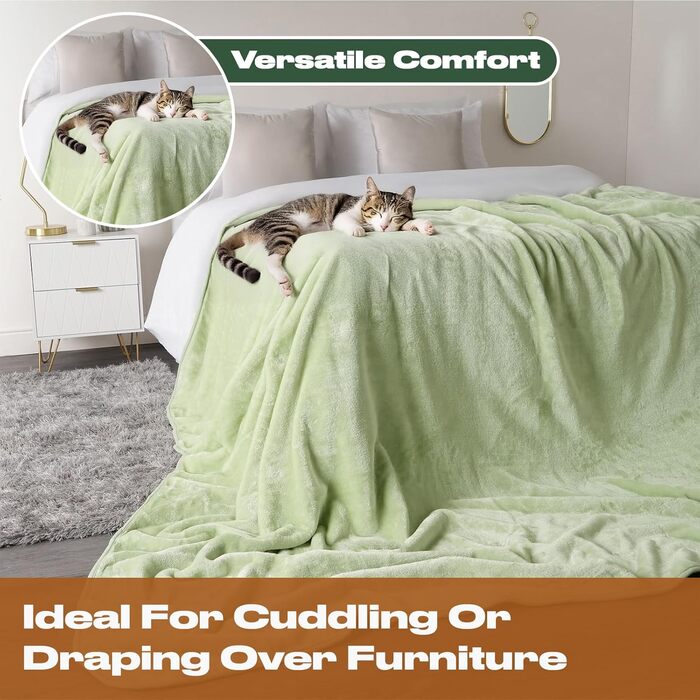 Плед DREAMSCENE з штучного хутра, флісу, м'який, теплий, великий, для ліжка (125 x 150 см, світло-зелений)