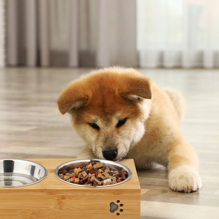 Relaxdays Double Food Bowl for Dogs