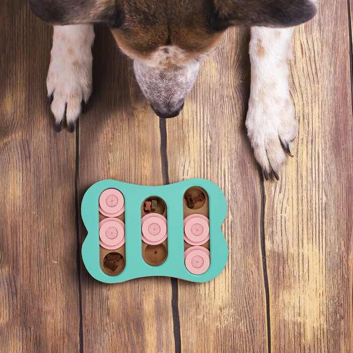 Relaxdays Interactive Dog Toy