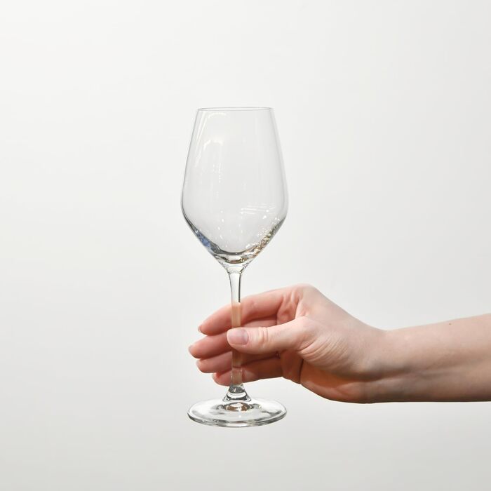 Набір келихів для шампанського Krosno Champagnergläser Set – 6 штук | 210 мл | Колекція Splendour | Кристалічне скло, без свинцю | Елегантний дизайн з високим ніжкою | Для шампанського, просекко та святкових заходів