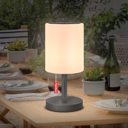 Світлодіодний солярний настільний світильник для вулиці 2-в-1, бездротовий, 8 кольорів, для саду, кемпінгу (Сірий)