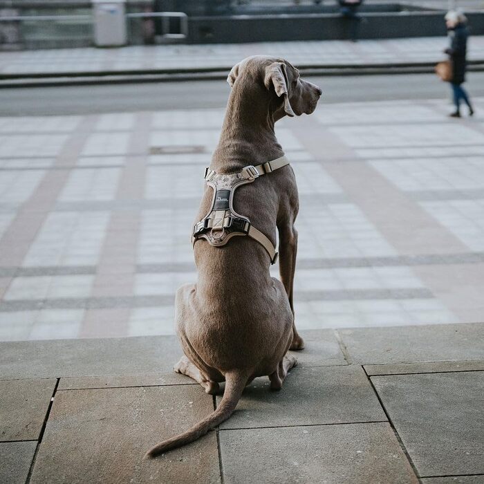 Набір посуду HUNTER DIVO Camouflage, рожевий, XS, регулюється, з алюмінієвими пряжками, дихаючий, світловідбиваючий