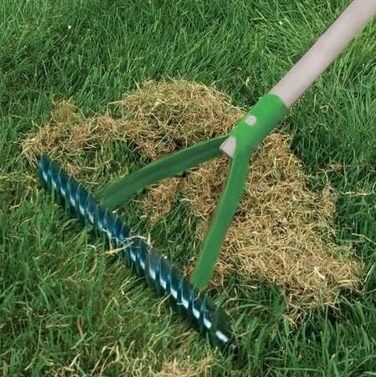 Hand Cultivator/Scarifier 40cm Cultivator Lawn Aerator Soil Aerator Rake with Handle 145cm