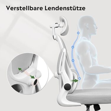 Офісне крісло Devaise ергономічне з підтримкою попереку, 3D-підголівником, регульованими підлокітниками та сітчастою спинкою, для офісу та дому, до 150 кг (сірий)