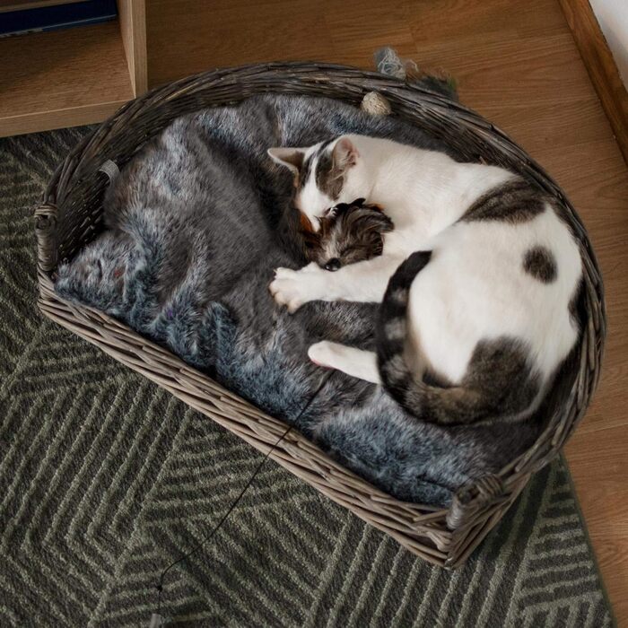 Ліжко для собак і котів UNUS з плетеної лози з подушкою, сіре, 61 x 44,5 x 15,5 см