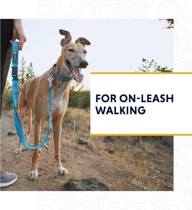 Нашийник для собак Ruffwear Web Reaction, регульований, з алюмінієвим кільцем V-подібної форми та бічною відкриваністю, зручний, світловідбиваючий, сірий (Basalt Grey), 11'-14'