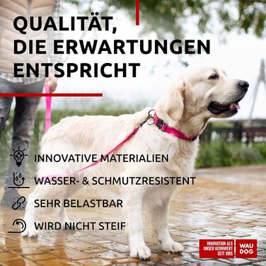 Водонепроникний нашийник для собак WAUDOG: великі, середні та малі породи, регульований, металевий замок, 31-49 см, 25 мм ширина, рожевий колір