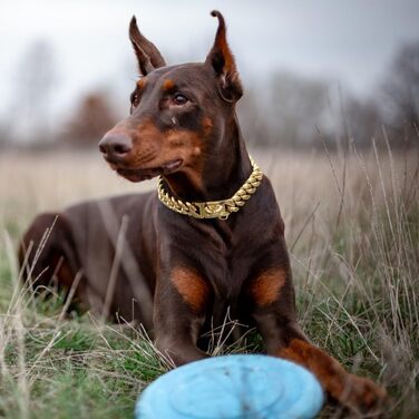 Нашийник для собак Кубинський стиль, нержавіюча сталь, ширина 14 мм, ланцюжок, довжина 26/31/36/41/46/51/56/61 см, золотий, для цуценят, собак маленьких та середніх порід