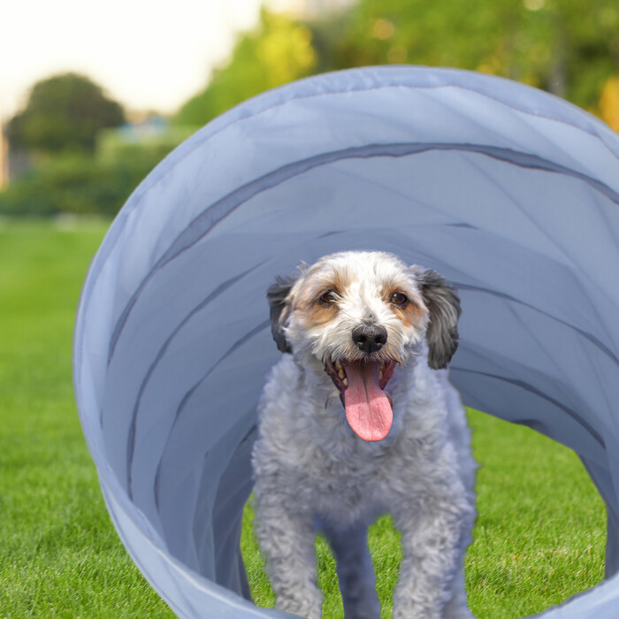 Relaxdays Dog Tunnel Agility 2m
