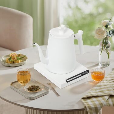 Електричний чайник-гозек Schwanenhals 1L, 1000W, регулювання температури 45-100°C, з підігрівом та захистом від перегріву