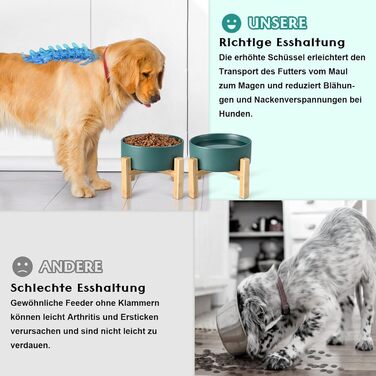 Набір мисок для корму для собак і котів SpunkyJunky з кераміки, піднятий на підставці з бамбука (2 шт. по 400 мл, зелений)