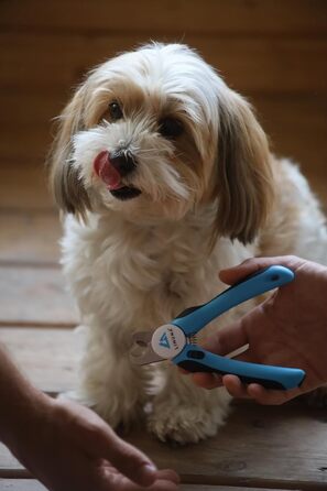 Професійні ножиці для обрізання кігтів собак, котів та дрібних тварин з нержавіючої сталі, з функцією зупинки, інтегрованим напильником та неслизькою ручкою. Підходять для початківців. Колір: блакитний