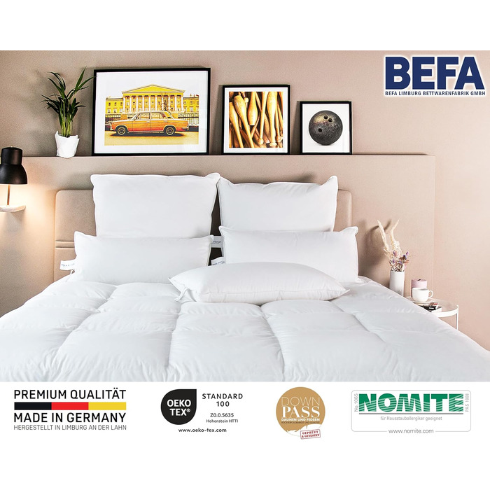 Подушка BEFA NATUR 80x80 см, 3-камерна, 90% пух, 10% перо, для алергіків, сертифікована Öko-Tex, Made in Germany