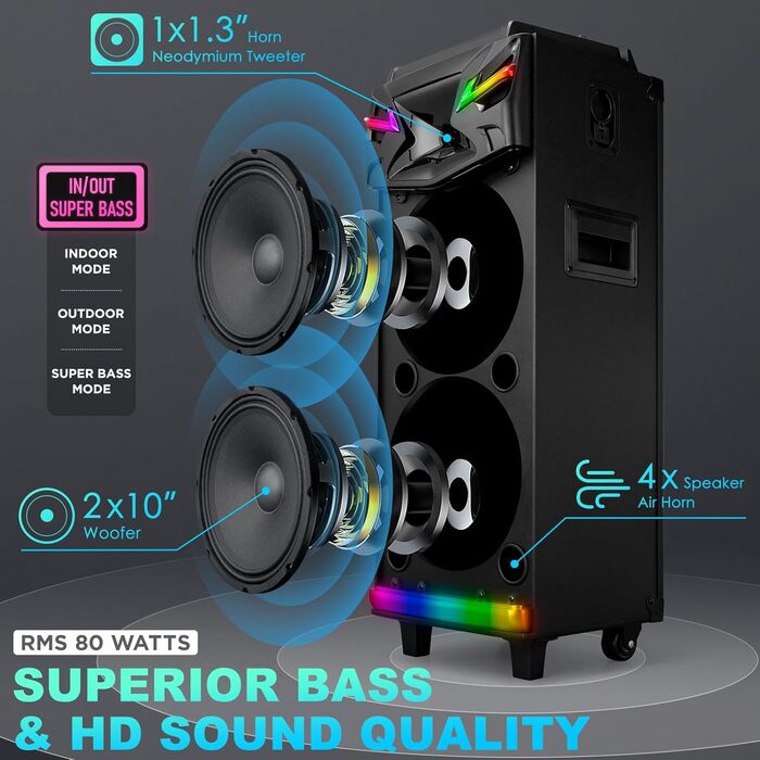 Bluetooth Караоке Машина DSP з 2 Мікрофонами та 2 × 10” Динаміками, Портативна PA-система для Дорослих та Дітей, USB-C Запис, Ефекти DJ, FM, Підтримка TV/Проектора GTSK210-1