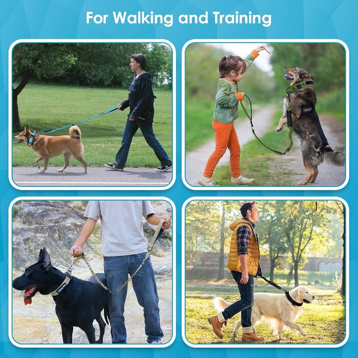 Тактична повідок для собак AUBELL, міцна, світловідбиваюча, без натягу, з амортизатором, для середніх та великих собак, з м'якою ручкою, страхувальний ремінь для авто, поворот на 360°, зелений (M-L, синій)