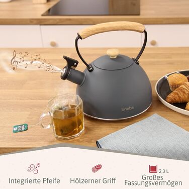 Чайник електричний Nordic Wasserkessel Induktion 2.3L з нержавіючої сталі, для чаю та кави, з нержавіючої сталі, сірий, сумісний з усіма типами плит