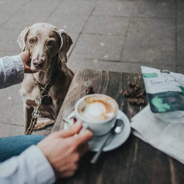 HUNTER Halsung Dressur SOLID EDUCATION: міцна шкіряна хальцтвочка для дрессури, ручної роботи, з гальмівним кільцем, Made in Germany, розмір L-XL, оливковий колір