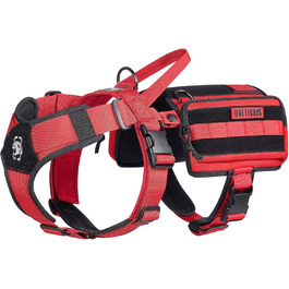 колір: гниль