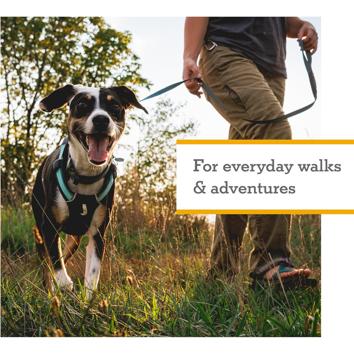 Шлейка для собак Ruffwear Hi Light Basalt Gray S