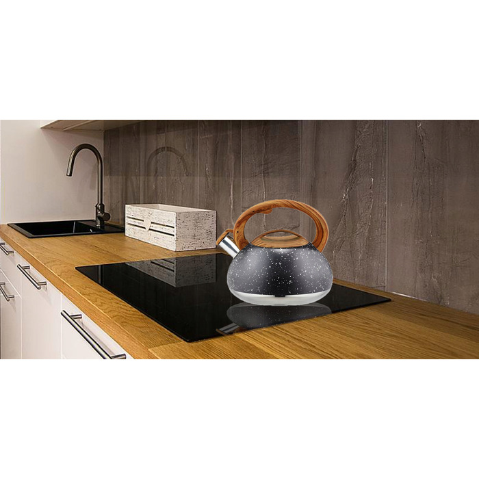 Класичний сталевий чайник Karl Hausmann, 3 л, чорний/сірий