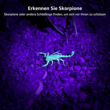 LED ультрафіолетова ліхтар з 9 світлодіодів, міні UV лампа з довжиною хвилі 395nm для геокешингу, детектування сечі домашніх тварин, тощо. В комплекті 6 батарейок AAA (2 шт.)